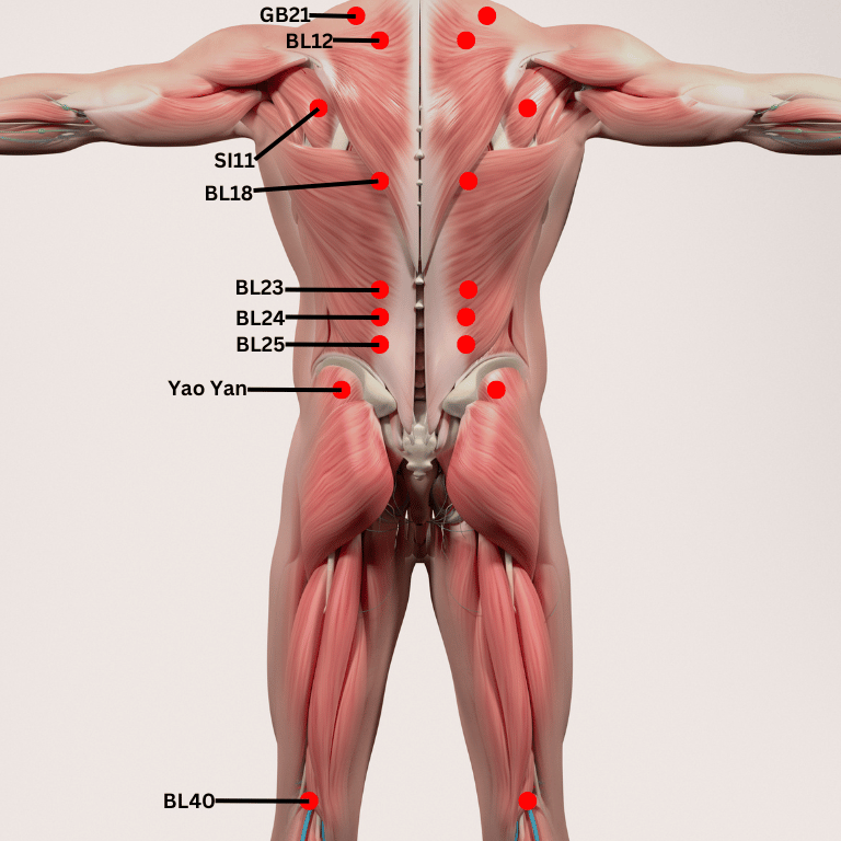 Acupuncture & acupressure points for back pain
